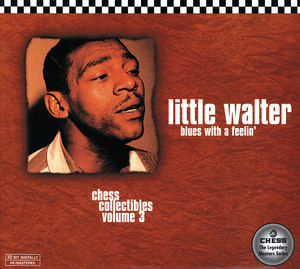 Mean Old World - song and lyrics by Little Walter | Spotify