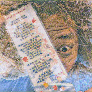 我是神經病- Album by Pig Head Skin | Spotify