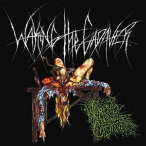 Demo 2006 - Single by Waking the Cadaver | Spotify