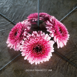 Rainbow - Album by Sayaka Yamamoto | Spotify