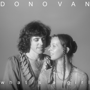 Try For The Sun: The Journey Of Donovan - Compilation by Donovan