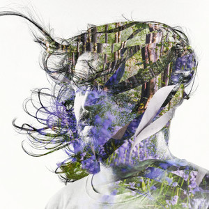Vignetting The Compost ‑「アルバム」by Bibio | Spotify