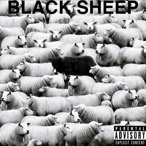 LP2枚セット SHEEP BLACK