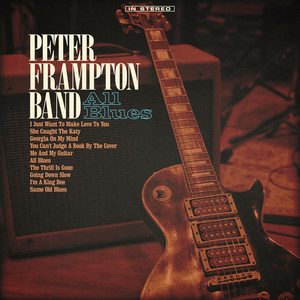 The Best Of Peter Frampton 20th Century Masters The Millennium