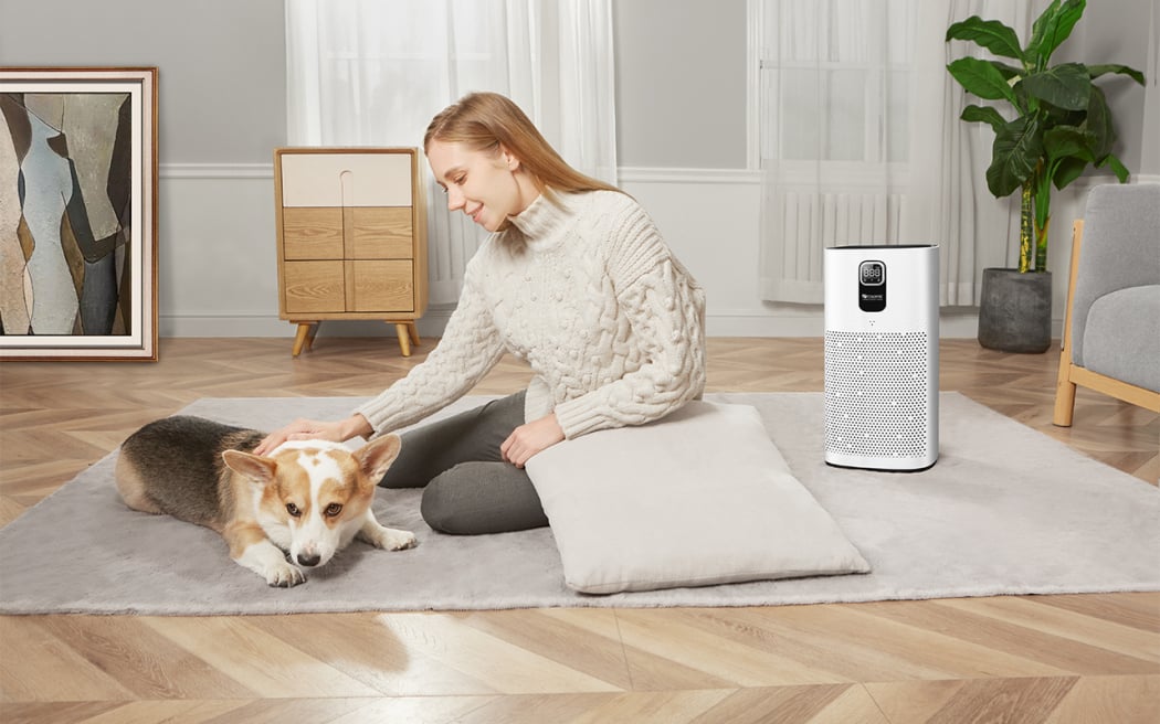 Proscenic A9 Air Purifier Review | PCMag