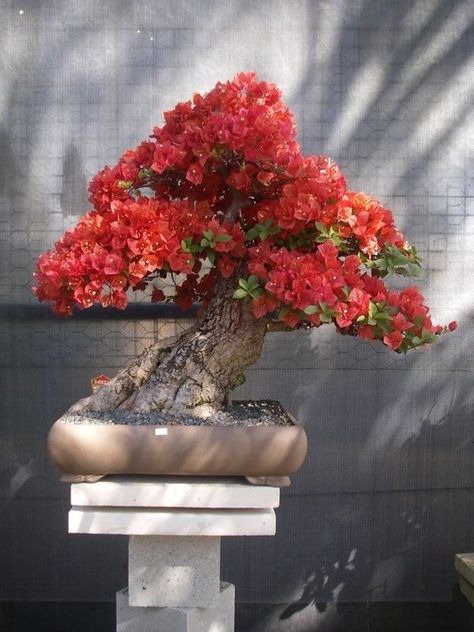 96a13020f849b19dcd2e667a912920