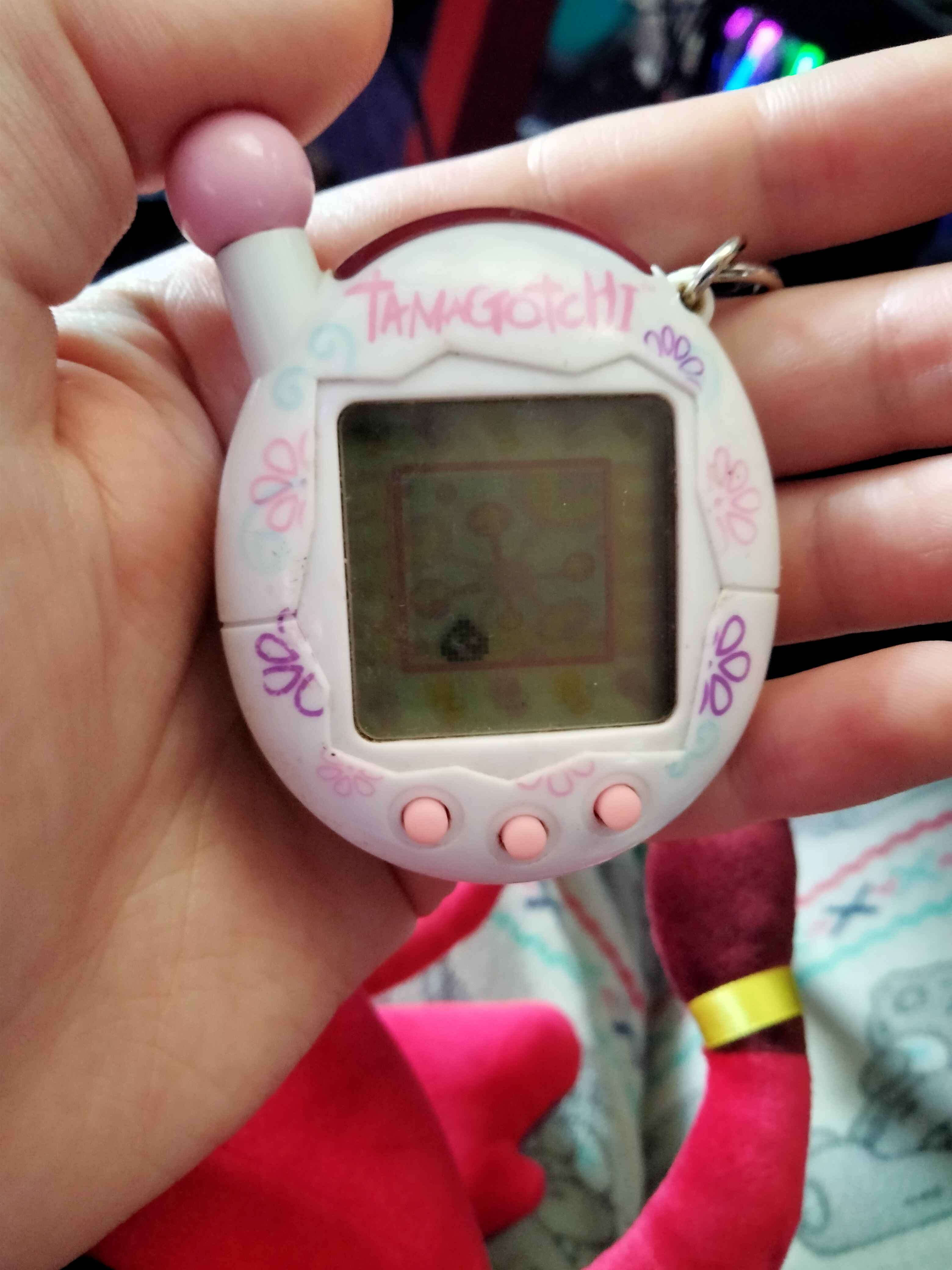 たまごっちコンテストいち通常版 2004 シリンダー たまごっち