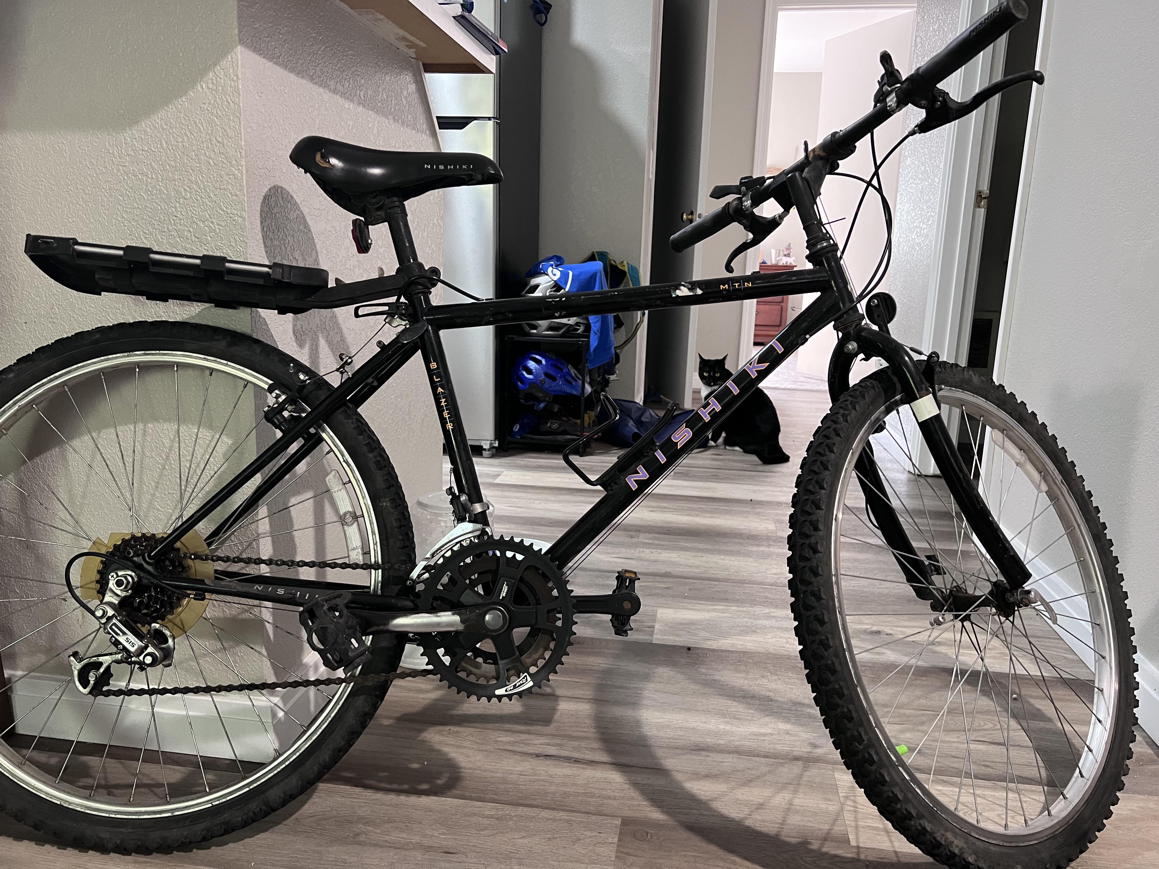 Got a 90s Nishiki Mtn bike for 20$. removed dork disc already