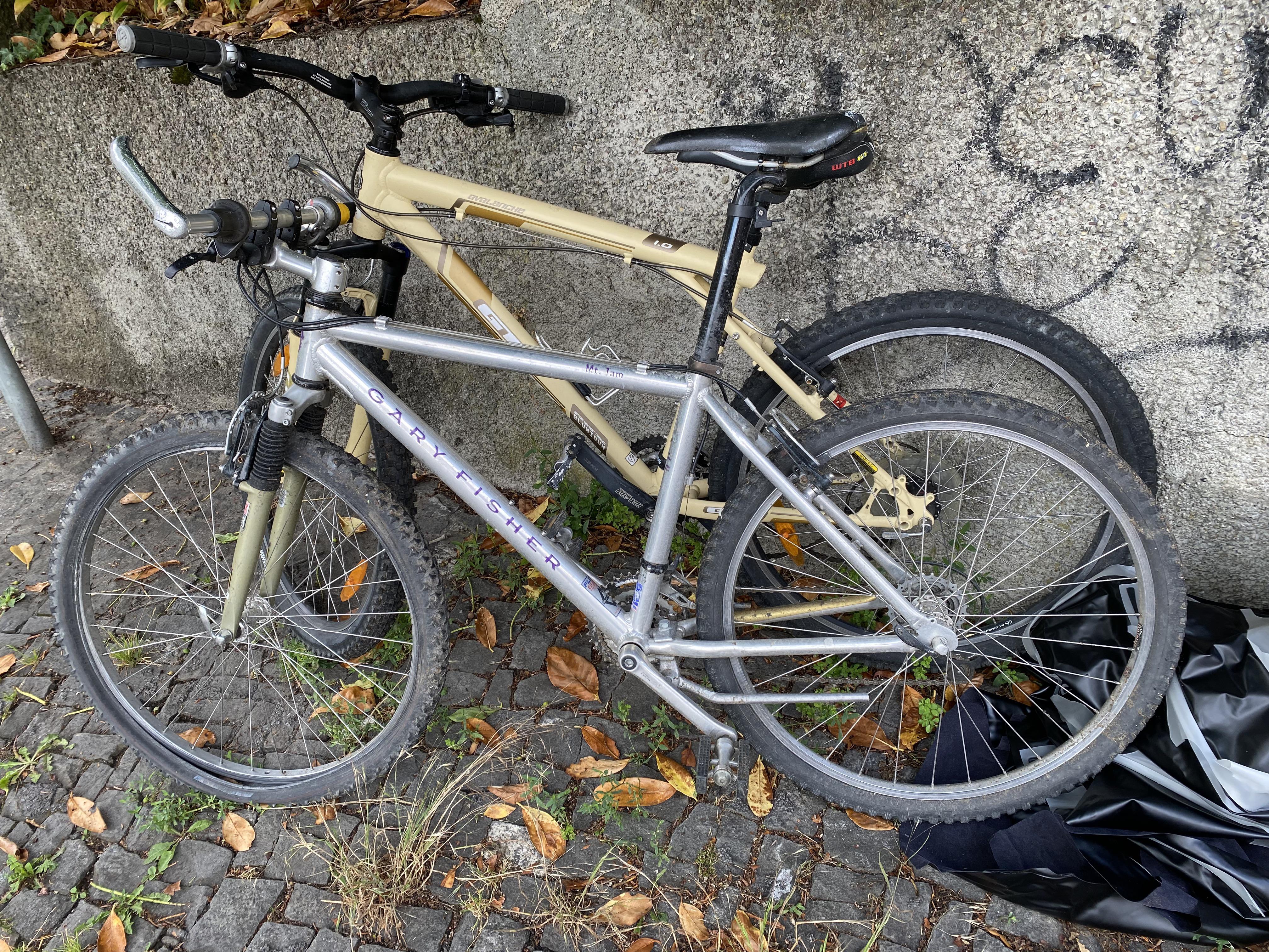 ゴミ捨て場から Gary Fisher Mt Tam を救出したんだけど、これって