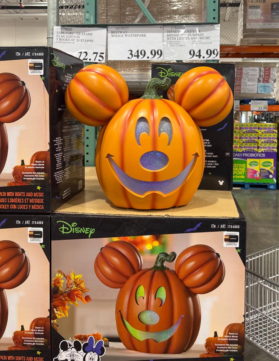 コストコでミッキーパンプキンが復活！ : r/Costco