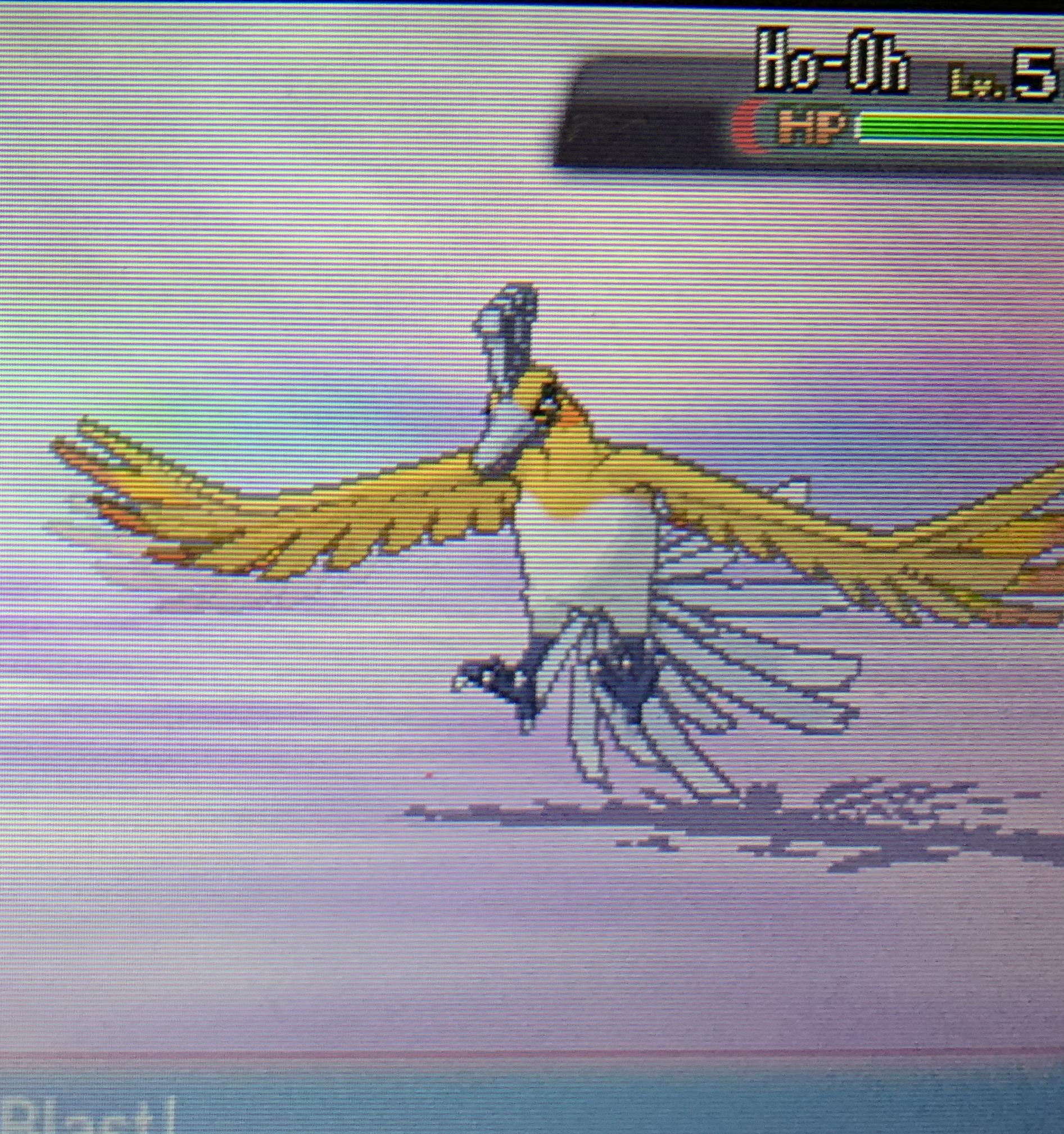 第6世代] オメガルビーで、初めて遭遇した時に、まさかの色違い