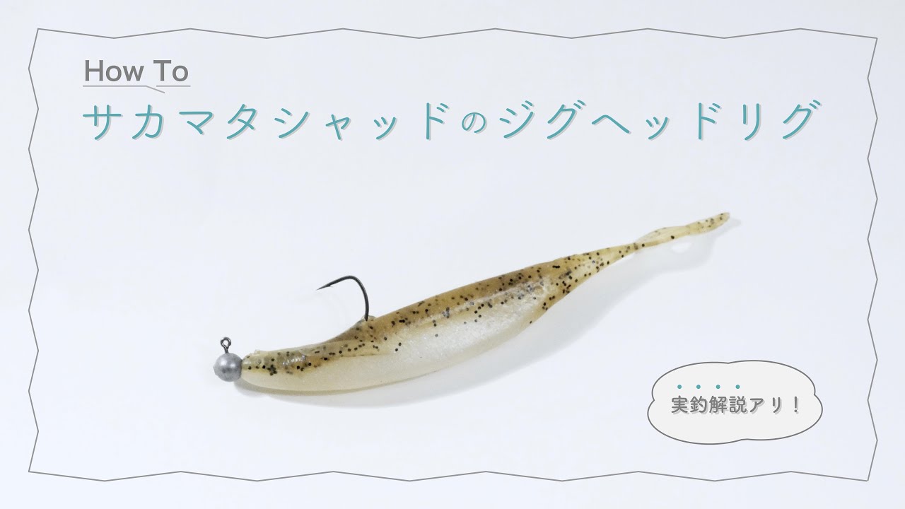 サカマタシャッドのジグヘッドリグに使用するタックル選び | 琵琶湖