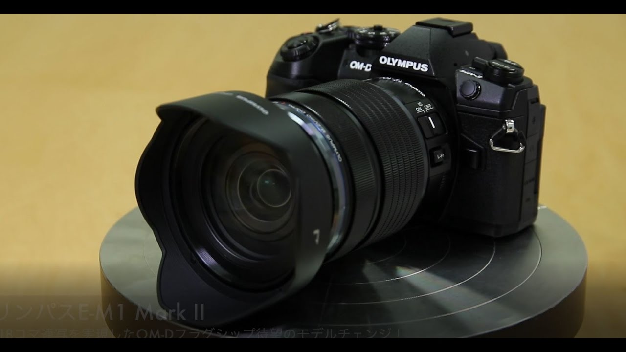 新製品レビュー：OLYMPUS OM-D E-M1 Mark II（実写編） - デジカメ Watch
