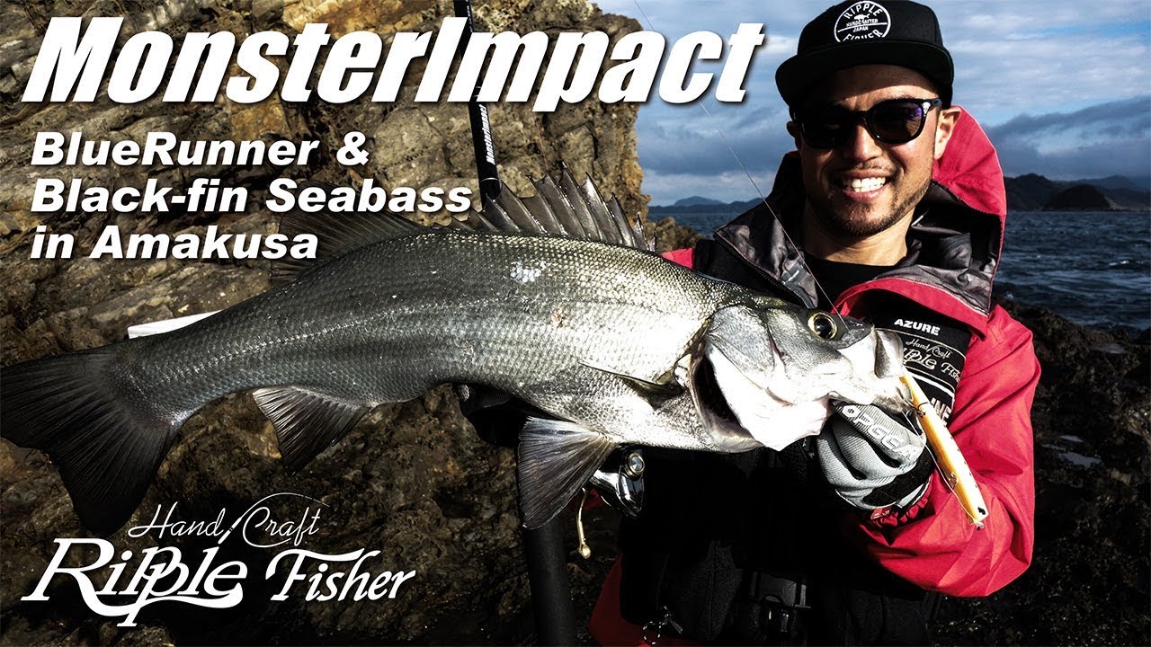 MonsterImpact 110HH &101HH Nano in Amakusa - YouTube
