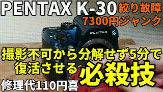 黒死病を恐れずにPENTAXのカメラを愛用するには……今更検証と対策を