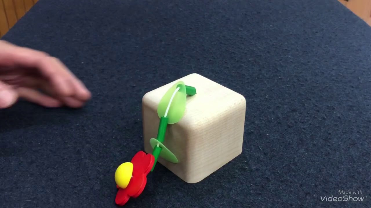 キーナー オルゴール (イモムシ・ピエロ・花) | 木のおもちゃ専門店