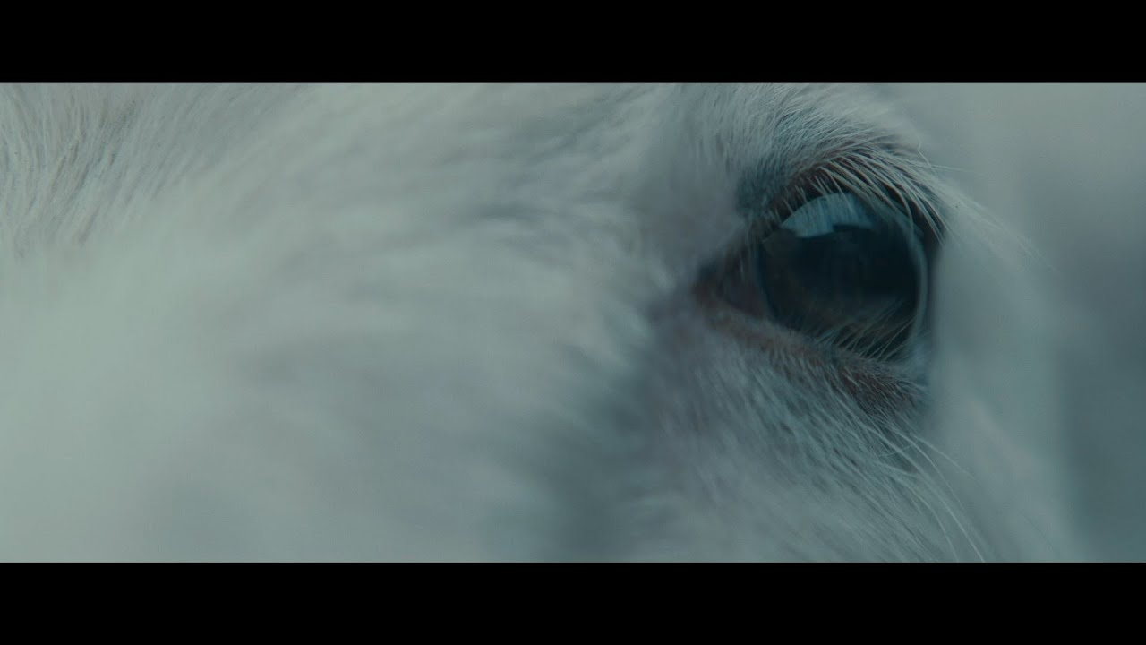 羊から産まれた“何か”が夫婦を破滅へと導く…映画『LAMB／ラム』特報