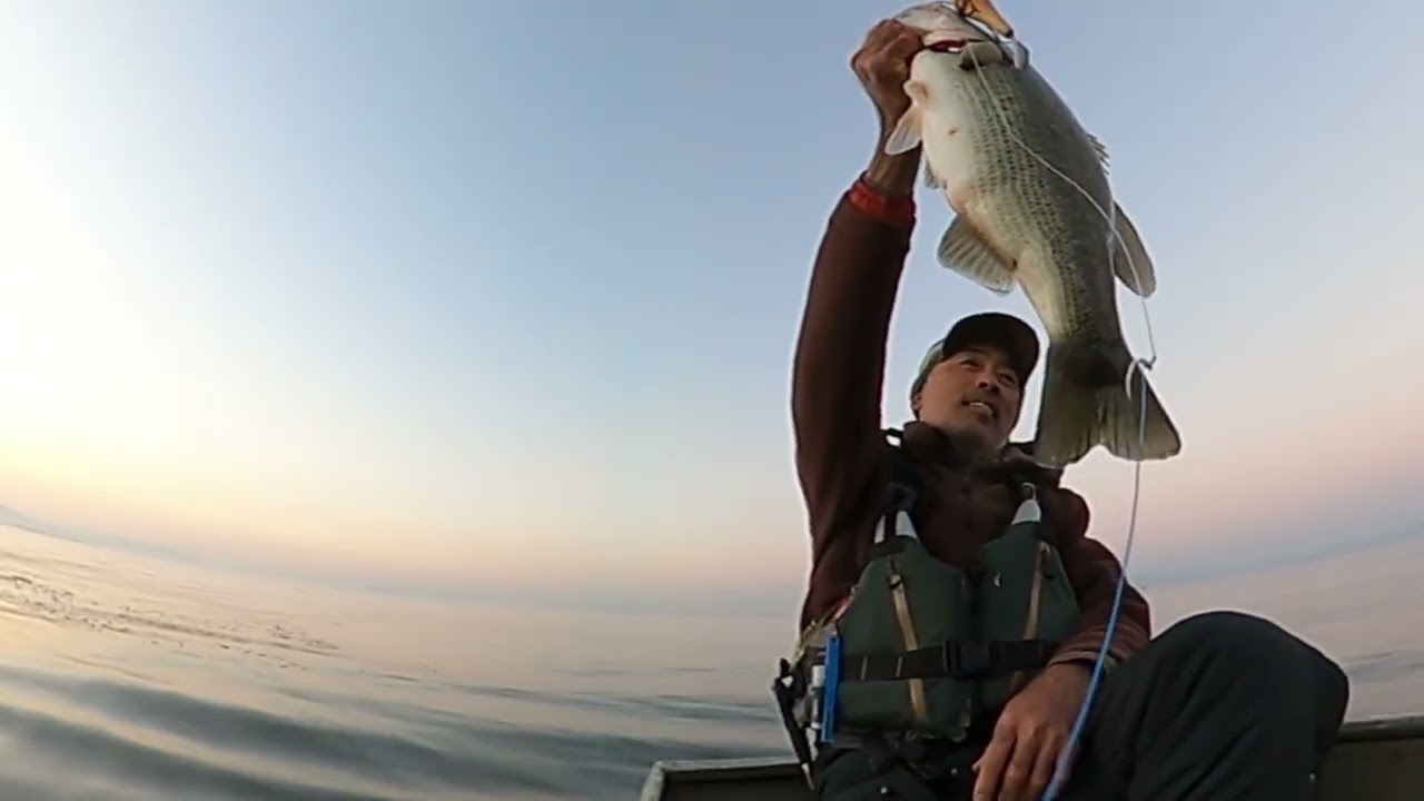 イソノファクトリー Spin CHURN Field Test2024-2025 - YouTube