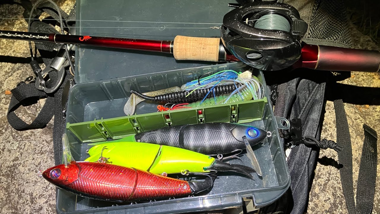 夜のバス釣りライブ】ビッグベイトで大きいブラックバスを釣りたい