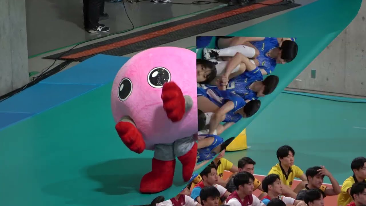 お出迎えバボちゃん - YouTube