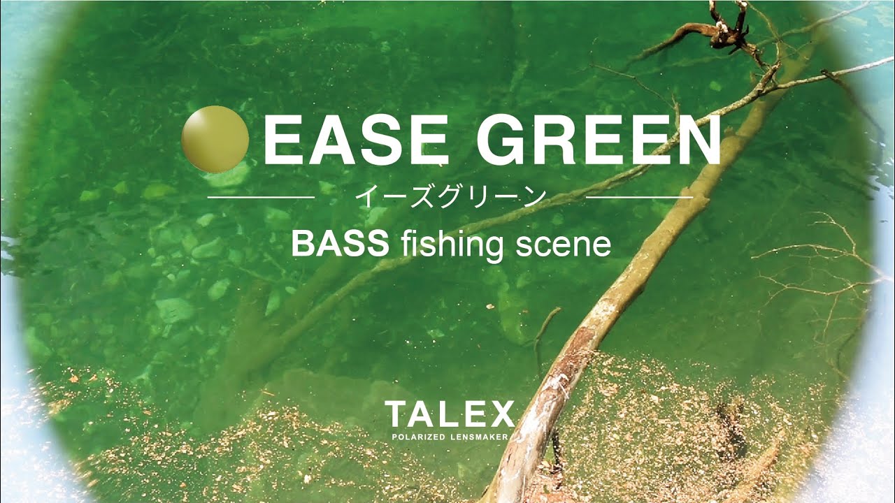 イーズグリーンの見え方｜バス編【TALEX公式】 - YouTube