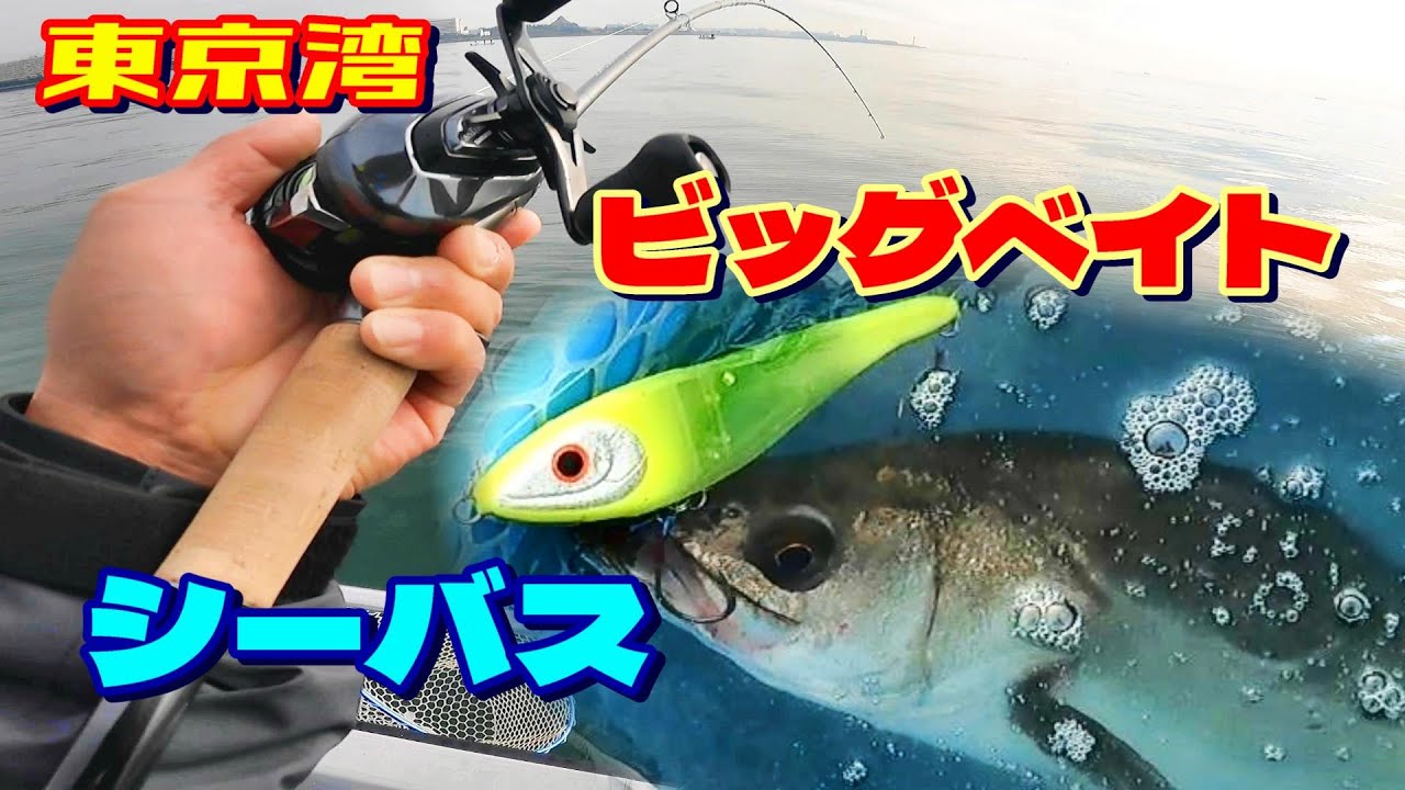 はじめてのビッグベイト シーバス 【東京湾】 - YouTube