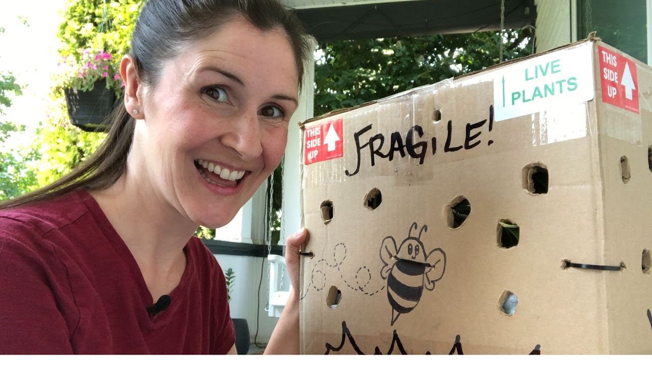 Plant haul from Phoenix Perennials 🇨🇦 - YouTube