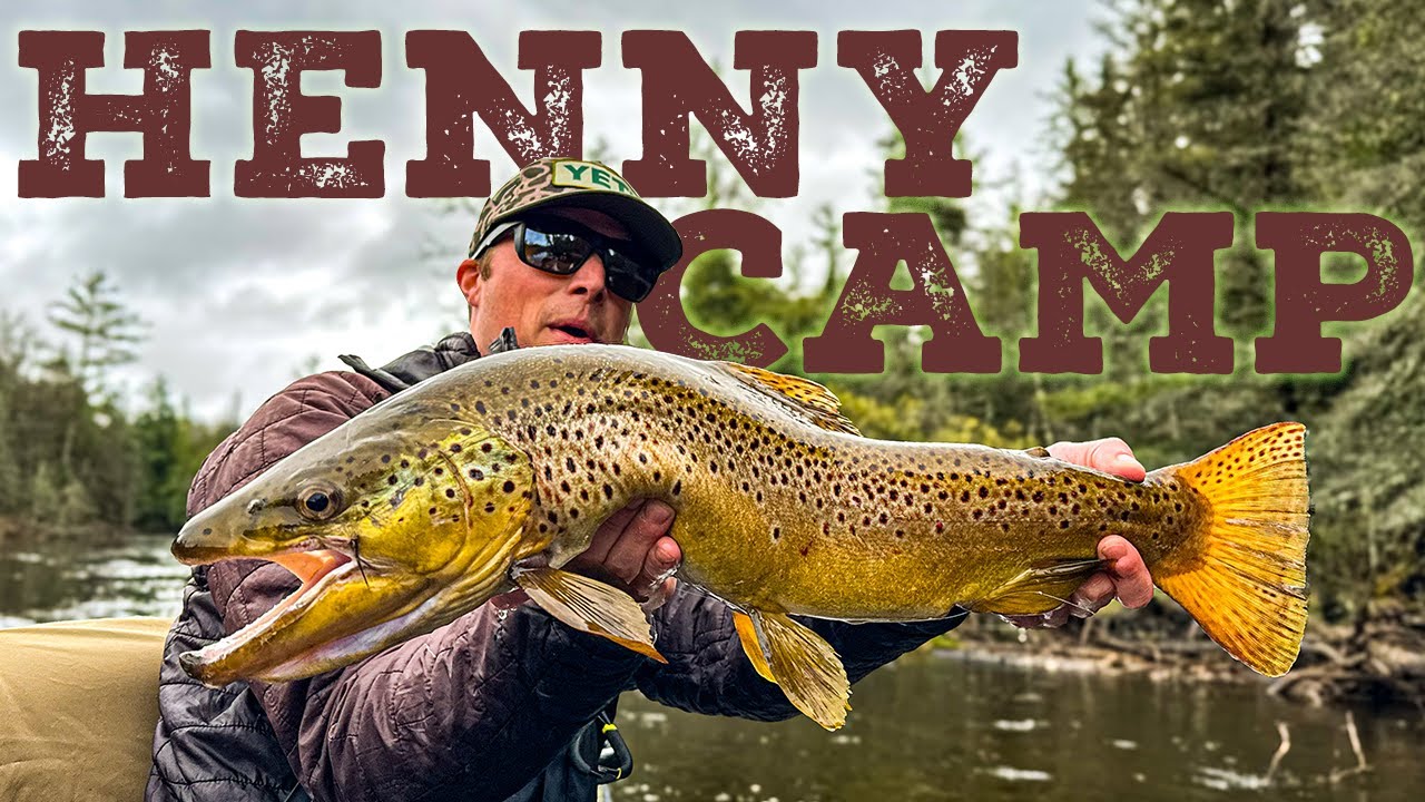 Wild Browns & Dry Flies: Hendrickson Hatch on the Au Sable River
