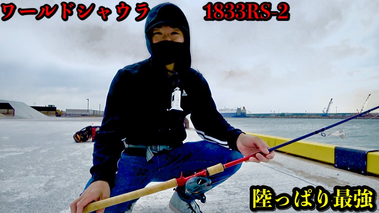 最速インプレ】シマノのワールドシャウラ1833RS-2を購入したので