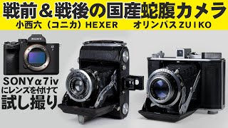 SONYα7ⅳに戦前＆戦後の国産蛇腹カメラレンズ「小西六 SEMI Pearl