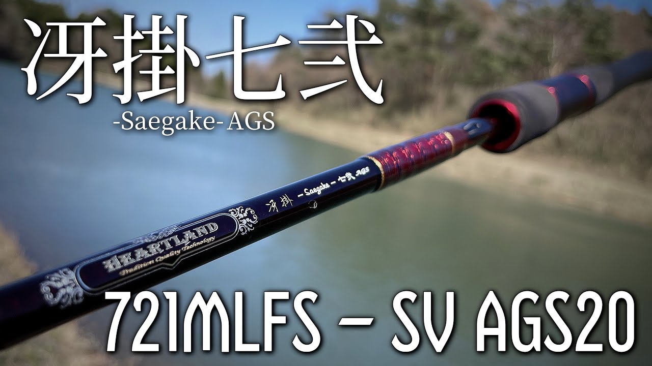 A thorough review of the legitimate successor model, the Saekake