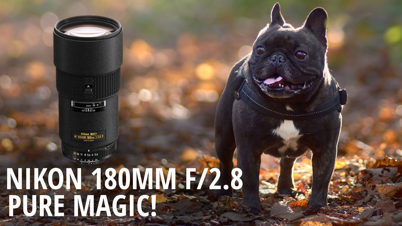 AF Nikkor 180mm f/2 8 D IF ED - Pure Magic! - YouTube