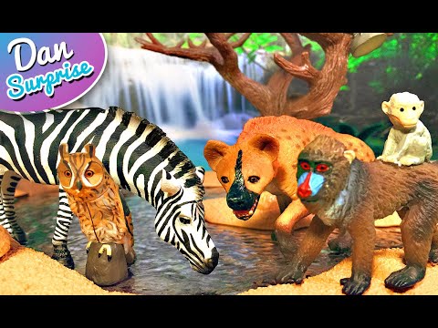 8 Safari Animals - Lion, Zebra, Hyena, Giraffe, African Dwarf Frog