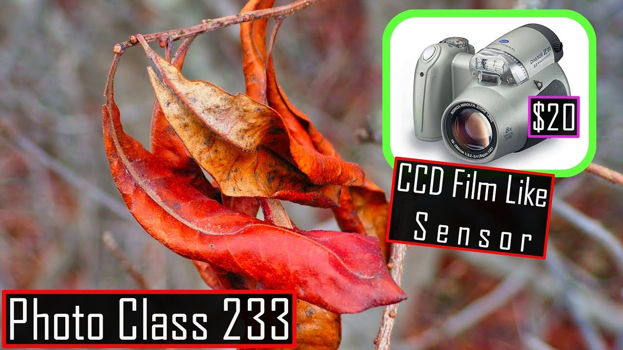 Review CCD Film Like Sensor Camera for Professional Photos $20