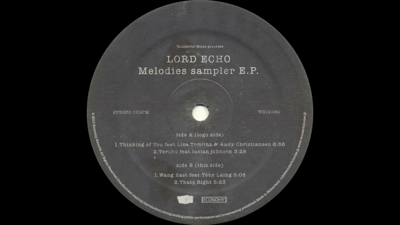 Lord Echo feat. Lisa Tomlins & Andy Christiansen - Thinking Of You