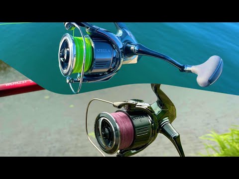 2022総集編】22ステラC3000XGとC5000XG以外要らない。 - YouTube