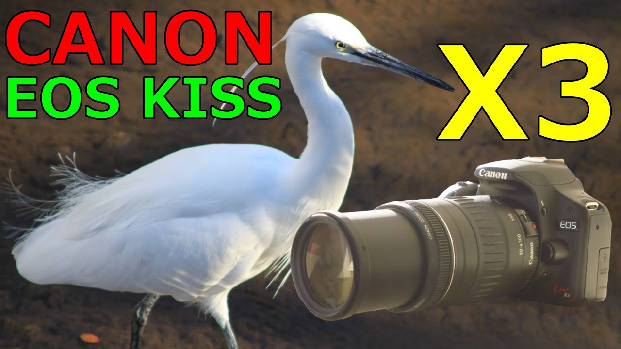 初心オススメ⭐️Canon EOS kiss X3 動作確認済み EOS Kiss X3は今でも