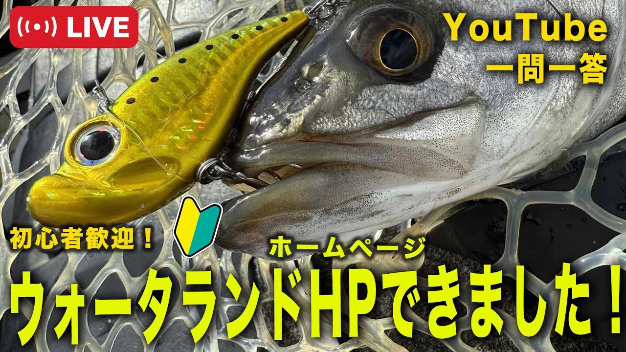 ウォータランドHPできました！＠村田基 #釣り #ウォーターランド