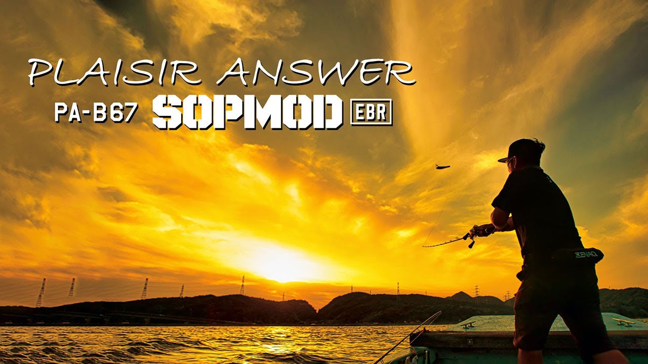 ジャイアントベイトでシーバスを獲る特化型ロッド - PLAISIR ANSWER PA