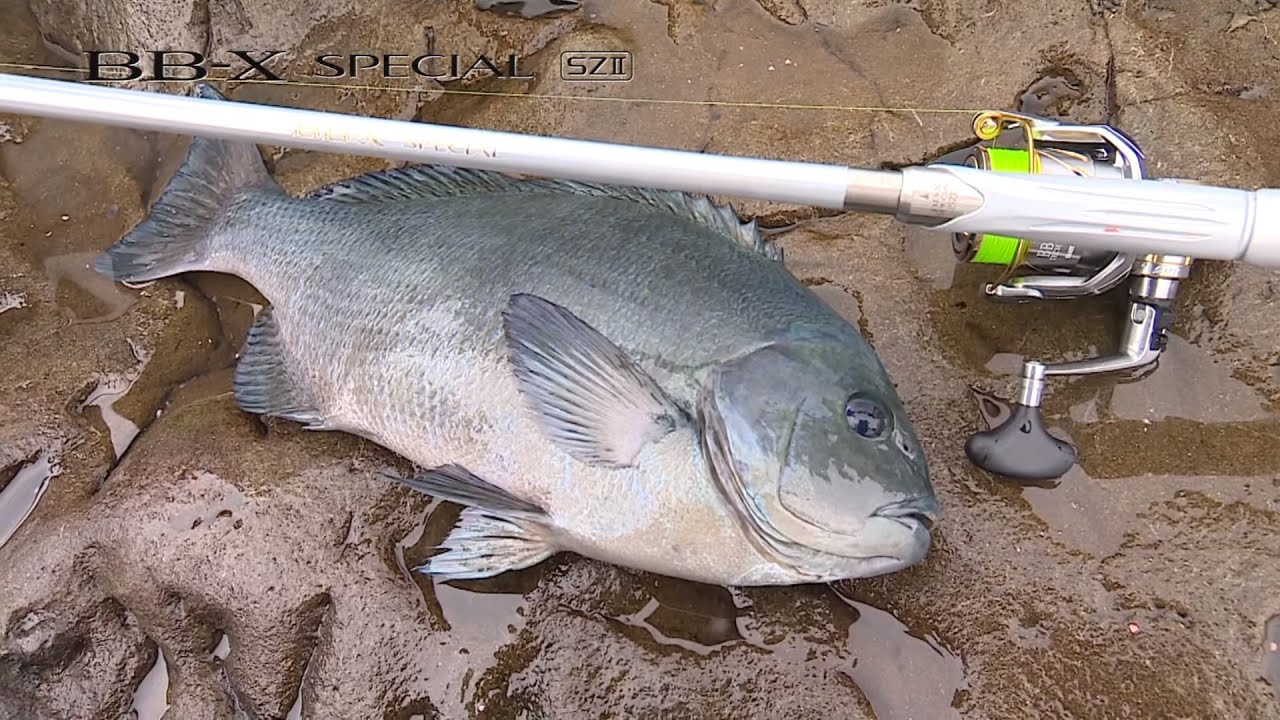 BB-X SPECIAL SZII/BB-X Technium SUT brake type - YouTube