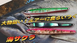 サクラマス ルアー 2026年の新メンバー ルアーズ ケミスト ディアン