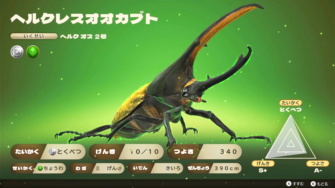 カブトクワガタ - ヘルクレスオオカブト VS ヘルクレスオオカブト 新