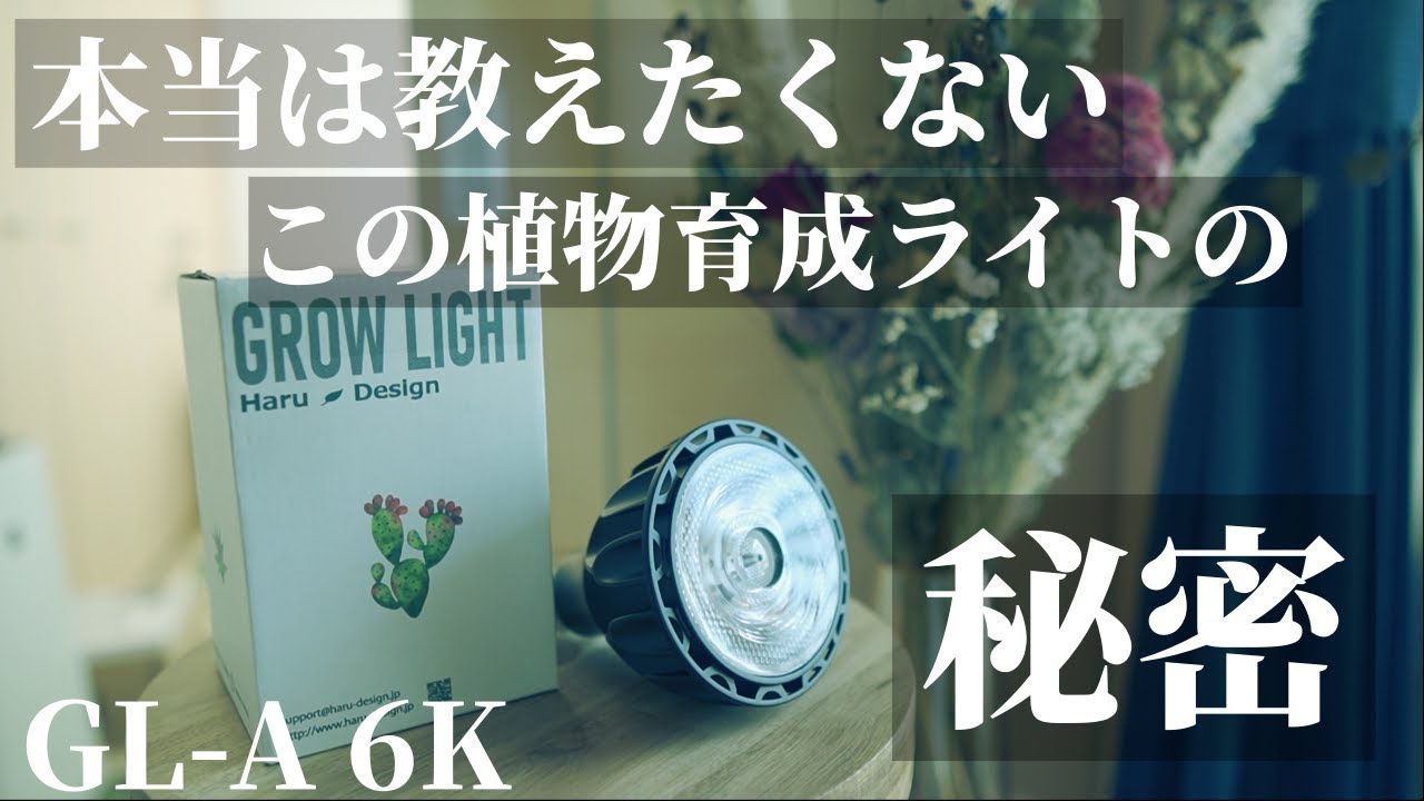 コスパ最強】植物育成用LEDライト「GL-A 6K」をレビュー！日照不足