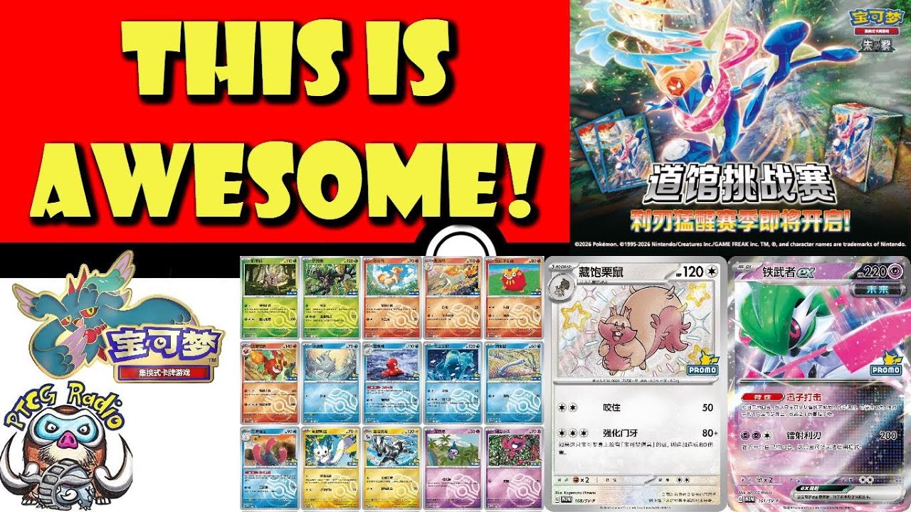 PSA10】ラティアス プロモ ジム☆オフィシャル SBR Lottery PSA10