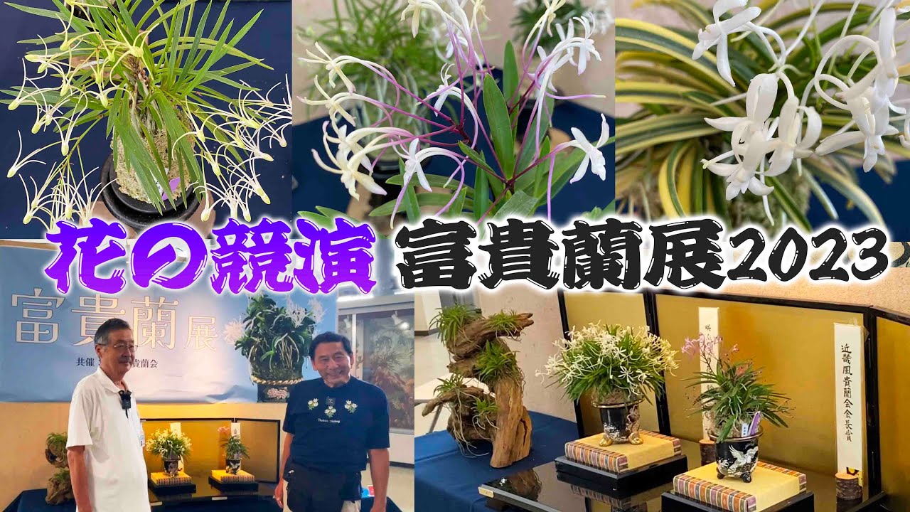 Botanical Gardens in Japan】This is traditional gardening 'Vanda