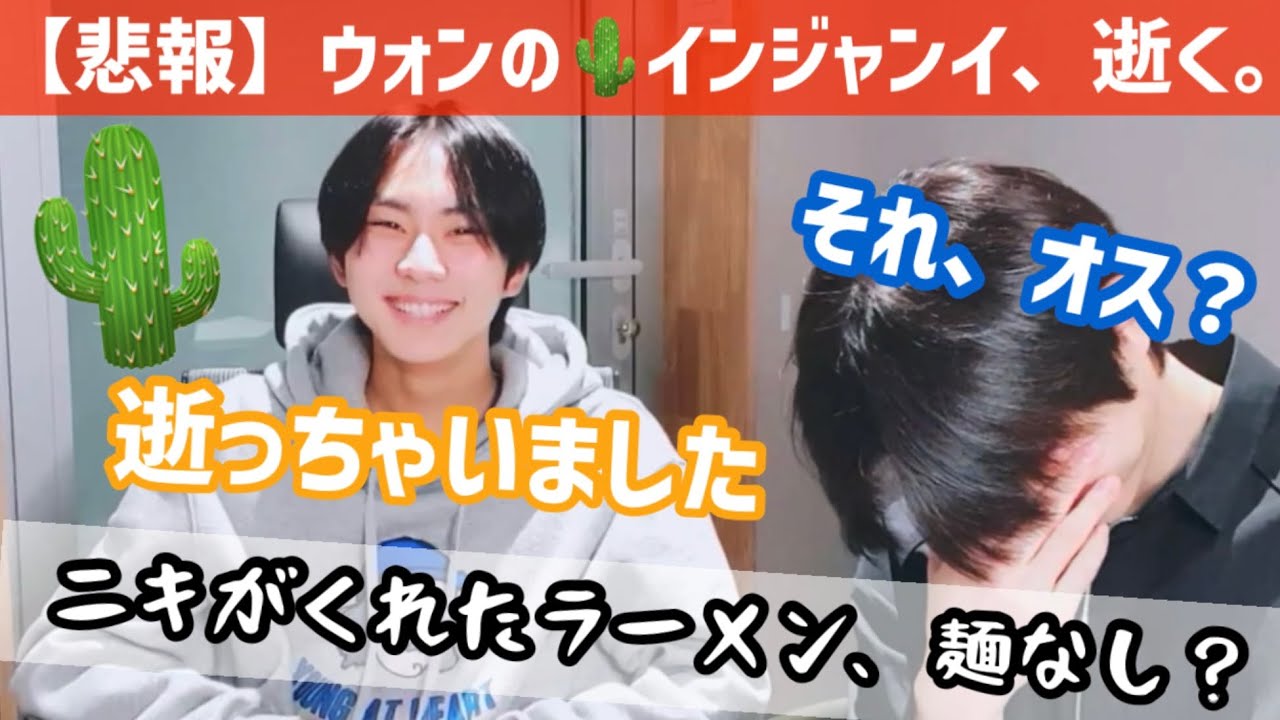 A cactus goes to the other world Jungwon and Sunghoon's VLIVE