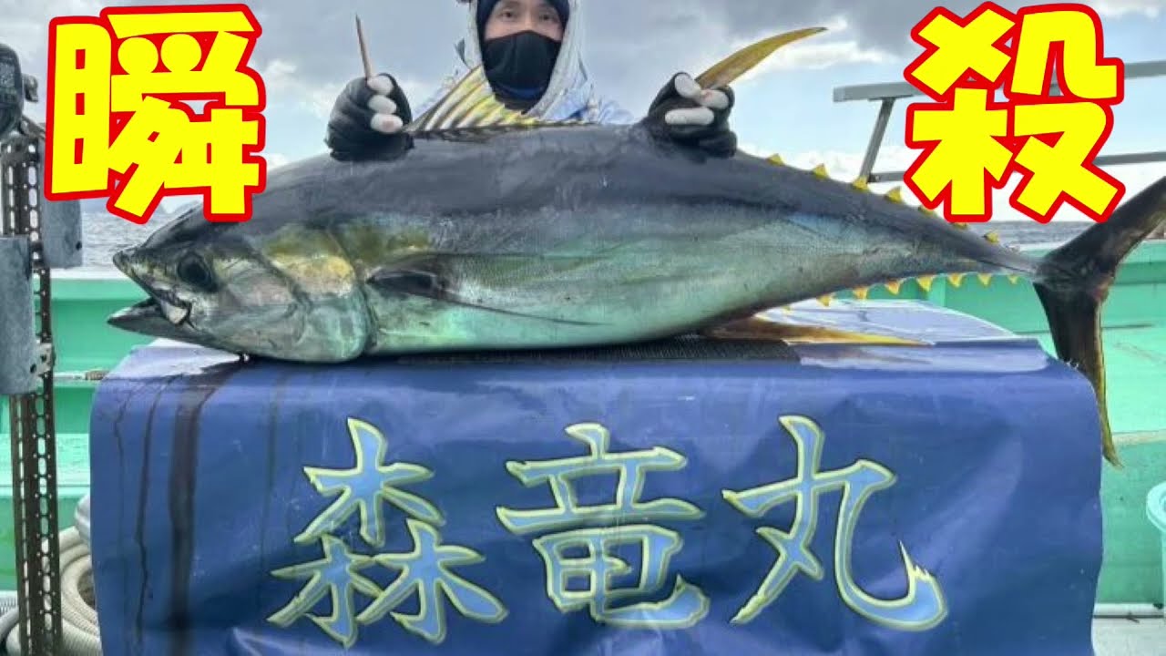 伊豆 鯖泳がせキハダ釣り】手巻きスタンディングファイトで