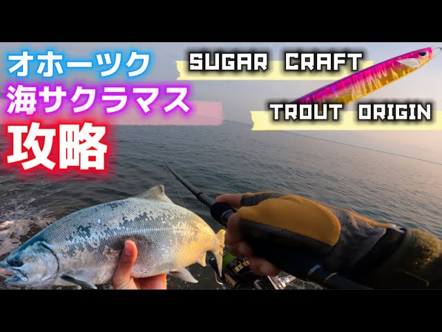 2022 海サクラマス】オホーツクエリアのサクラマス攻略!!【SUGAR CRAFT