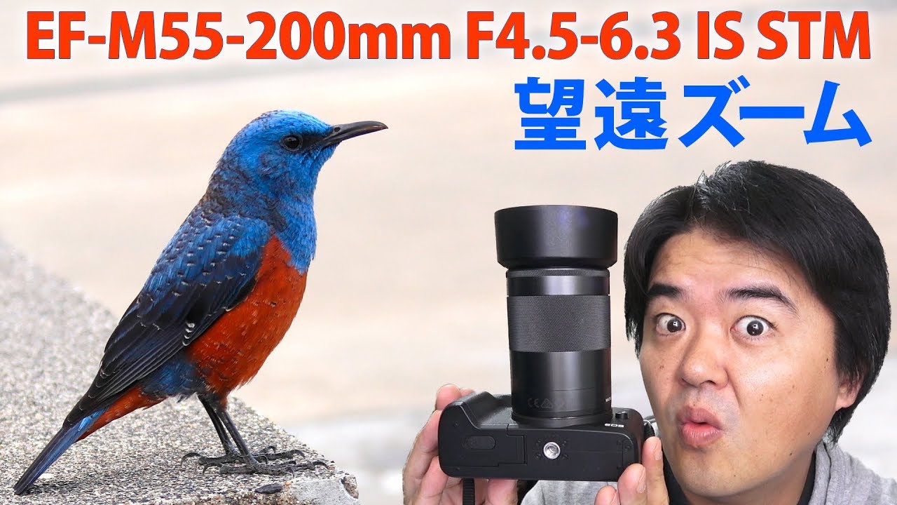 Canon EF-M55-200mm F4.5-6.3 IS STM Telephoto Zoom Lens