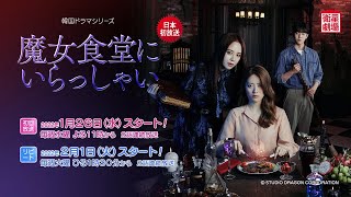衛星劇場2022年01月＞韓国ドラマ 『魔女食堂にいらっしゃい』日本初